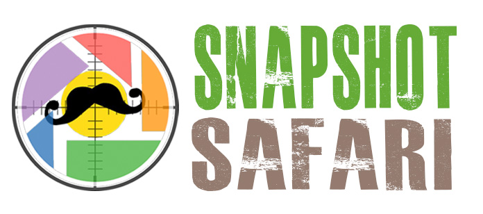 Sanpshot Safari logo